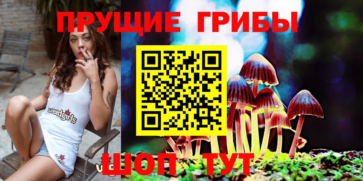 Псилоцибиновые грибы MAGIC MUSHROOMS  Вход с VPN  цены наркотик  Ишимбай 